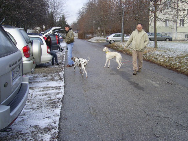 16.12.07 - Posvojitev hrtkov - foto povečava