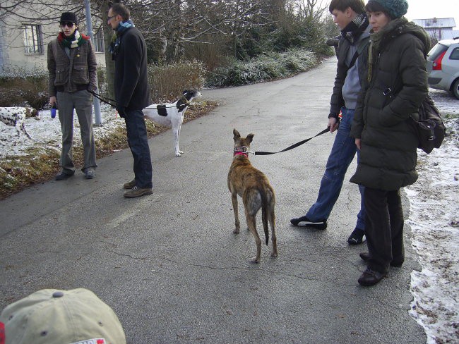 16.12.07 - Posvojitev hrtkov - foto povečava