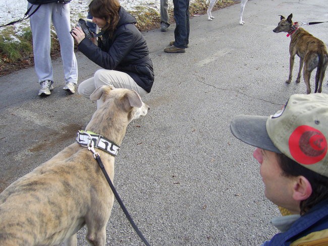 16.12.07 - Posvojitev hrtkov - foto povečava