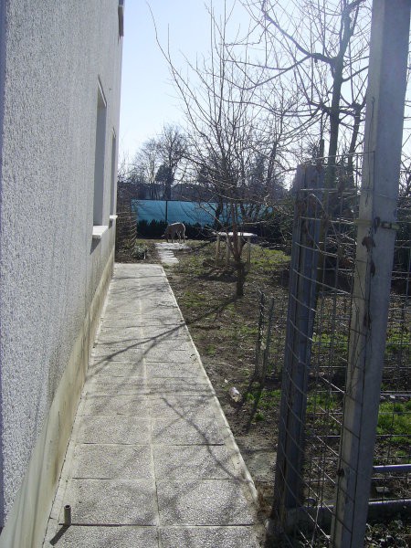 Princ: 24.12.07 - 24.3.08 - foto povečava