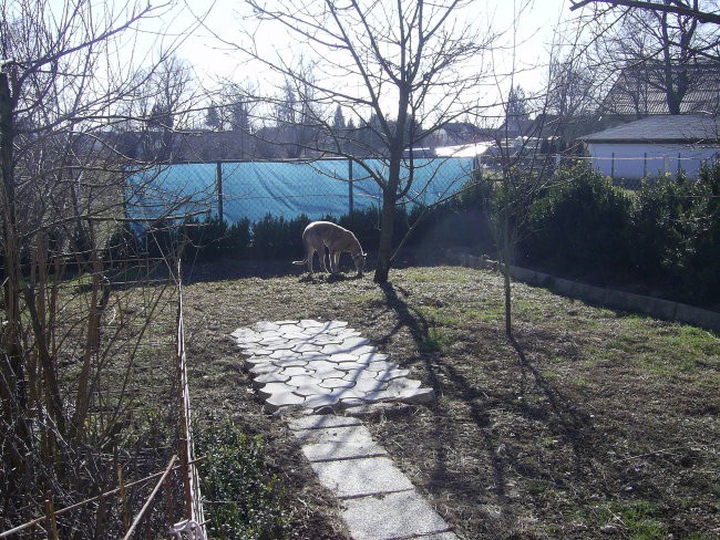 Princ: 24.12.07 - 24.3.08 - foto povečava
