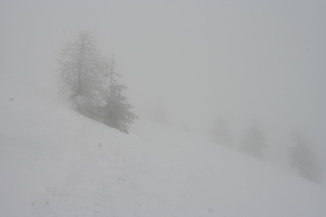 Kališče, Bašeljski vrh, 28.1.2006 - foto
