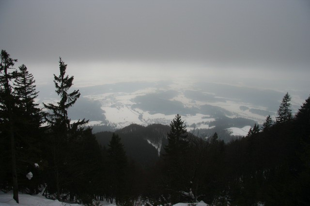 Kališče, Bašeljski vrh, 28.1.2006 - foto