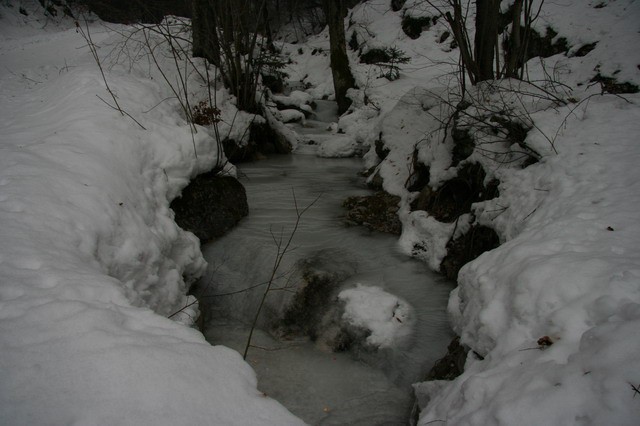 Kališče, Bašeljski vrh, 28.1.2006 - foto