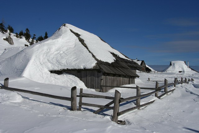 Mala planina, 20.1.2006 - foto povečava