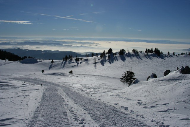Mala planina, 20.1.2006 - foto povečava