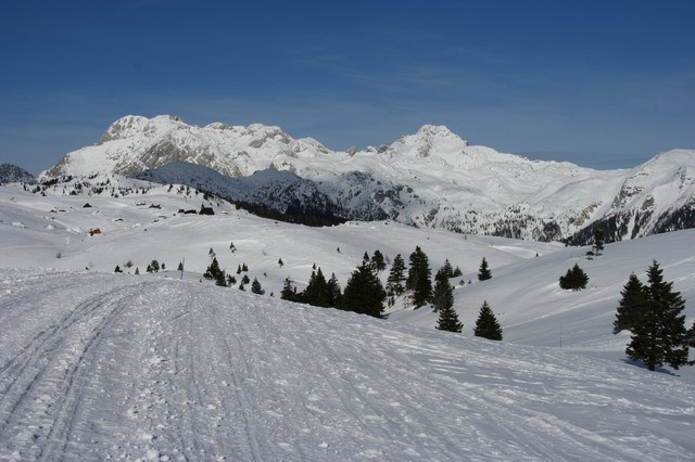 Mala planina, 20.1.2006 - foto povečava