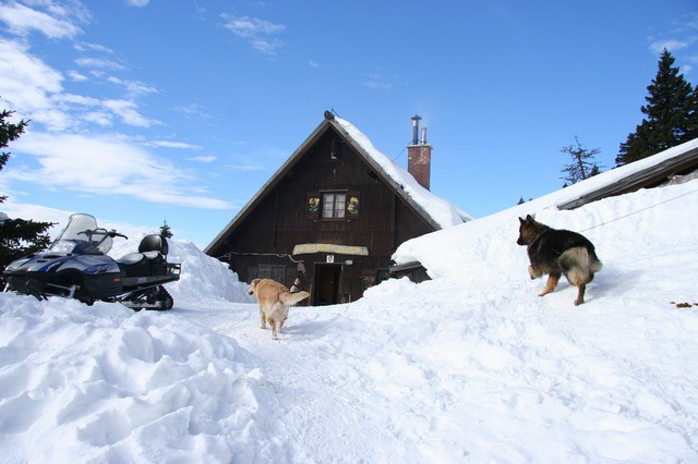 Mala planina, 20.1.2006 - foto povečava