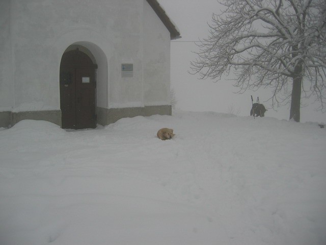 Sv. Jakob, Katarina, 8.1.2006 - foto