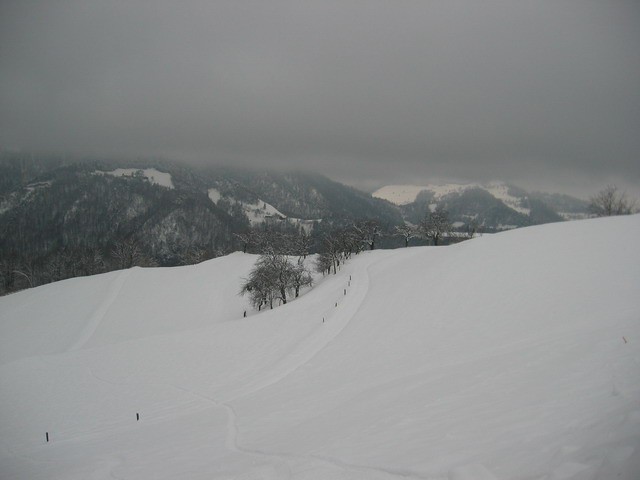 Sv. Jakob, Katarina, 8.1.2006 - foto povečava