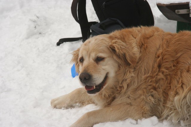 Grmada, Tošč, 26.2.2006 - foto povečava