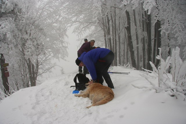 Grmada, Tošč, 26.2.2006 - foto povečava