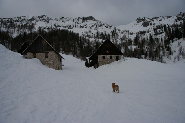 Blejska koča, Mrežce, 25.12.2005 - foto