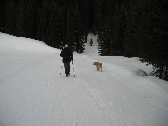 Blejska koča, Mrežce, 25.12.2005 - foto