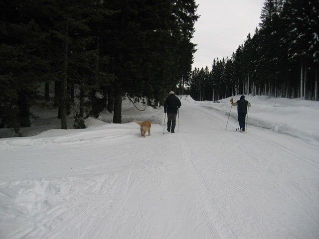 Blejska koča, Mrežce, 25.12.2005 - foto povečava