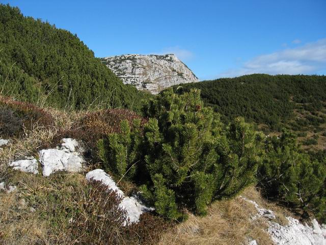 Komna, Lanževica, 20.11.2005 - foto