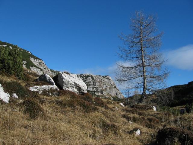 Komna, Lanževica, 20.11.2005 - foto