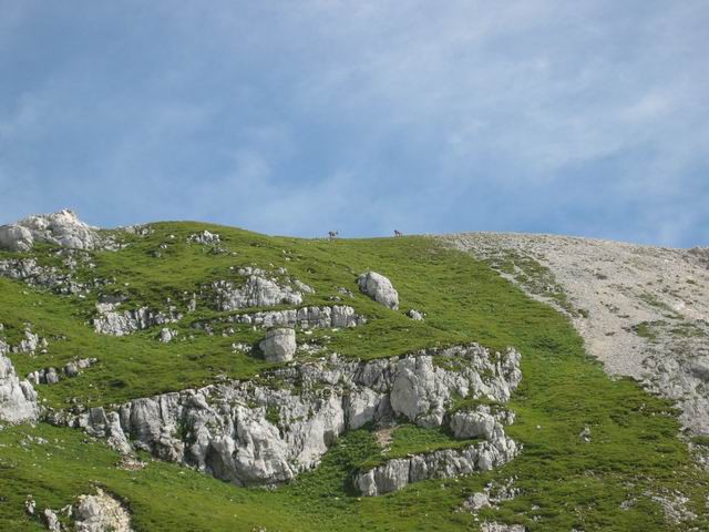 Viš, pot stoletnice, 6.8.2005 - foto