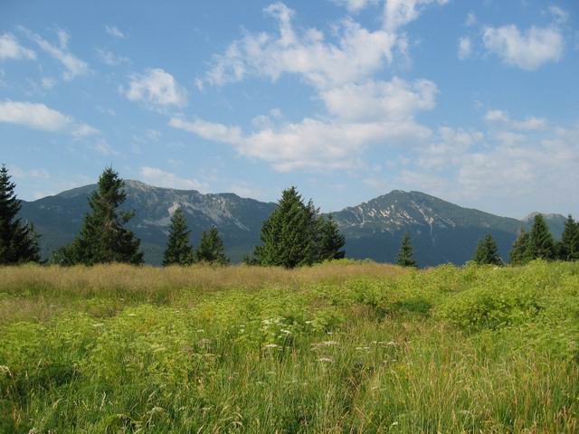 Javoršček, 31.7.2005 - foto