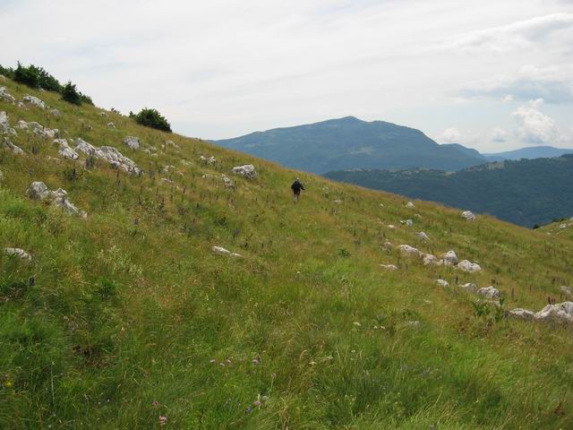 Veliki vrh (Polovnik), 4.8.2005 - foto povečava