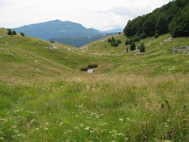 Veliki vrh (Polovnik), 4.8.2005 - foto povečava