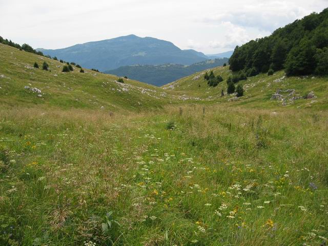 Veliki vrh (Polovnik), 4.8.2005 - foto povečava