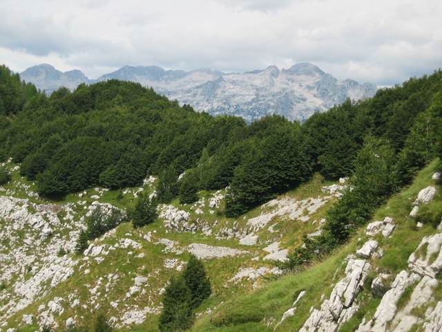 Veliki vrh (Polovnik), 4.8.2005 - foto povečava