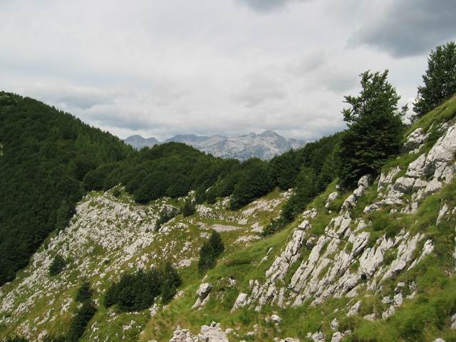 Veliki vrh (Polovnik), 4.8.2005 - foto