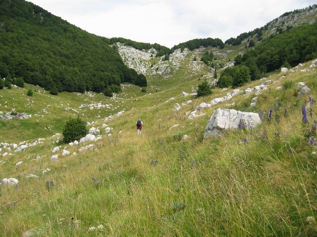 Veliki vrh (Polovnik), 4.8.2005 - foto povečava