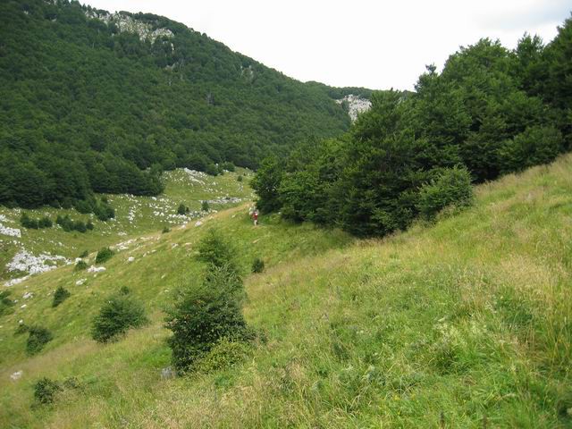 Veliki vrh (Polovnik), 4.8.2005 - foto povečava