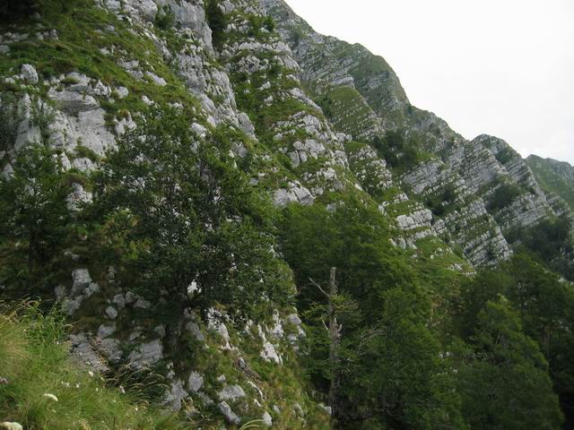 Veliki vrh (Polovnik), 4.8.2005 - foto povečava