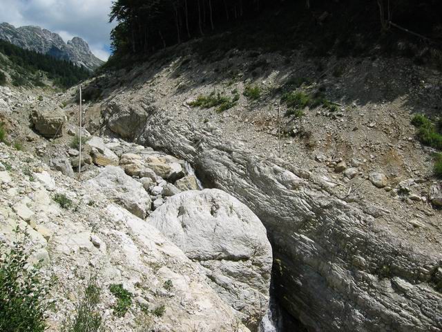 Nemške glave, 5.8.2005 - foto