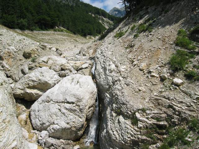 Nemške glave, 5.8.2005 - foto povečava