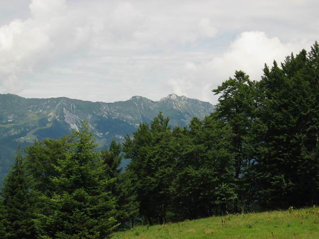 Kriška gora, 24.7.2005 - foto