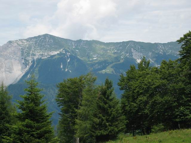 Kriška gora, 24.7.2005 - foto