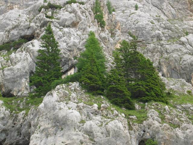 Šplevta s PD Rašica, 17.7.2005 - foto povečava