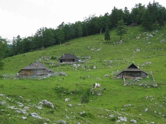 Velika planina, 3.7.2005 - foto