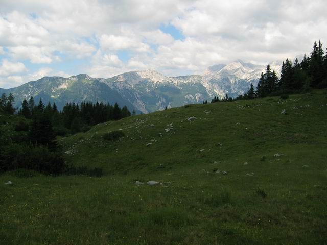 Velika planina, 3.7.2005 - foto