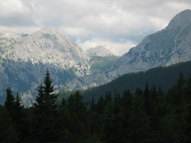 Velika planina, 3.7.2005 - foto