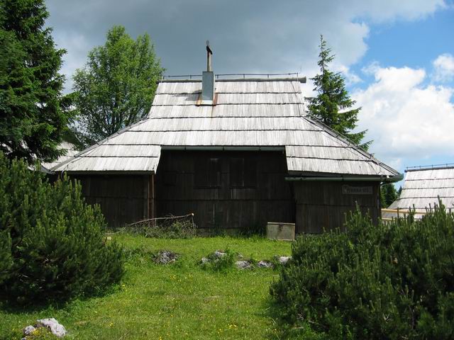 Velika planina, 3.7.2005 - foto