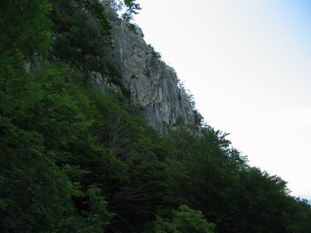 Velika planina, 3.7.2005 - foto povečava