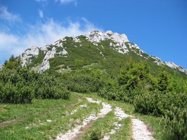 Storžič, 19.6.2005 - foto povečava