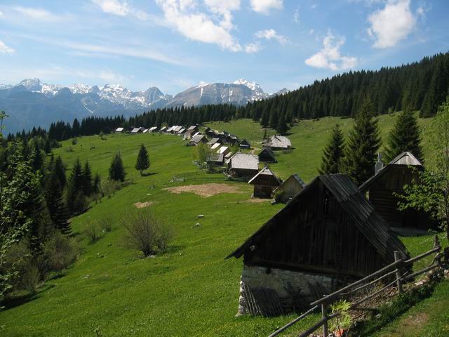 Zajamniki, Uskovnica, 20.5.2005 - foto