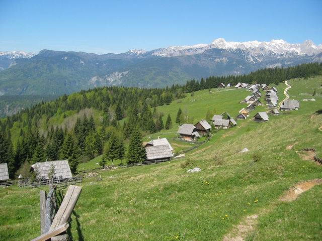 Zajamniki, Uskovnica, 20.5.2005 - foto