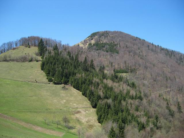 Čemšeniška planina, Krvavica, 27.4.2005 - foto povečava