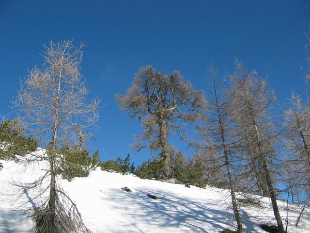 Vrtaški vrh, 3.4.2005 - foto