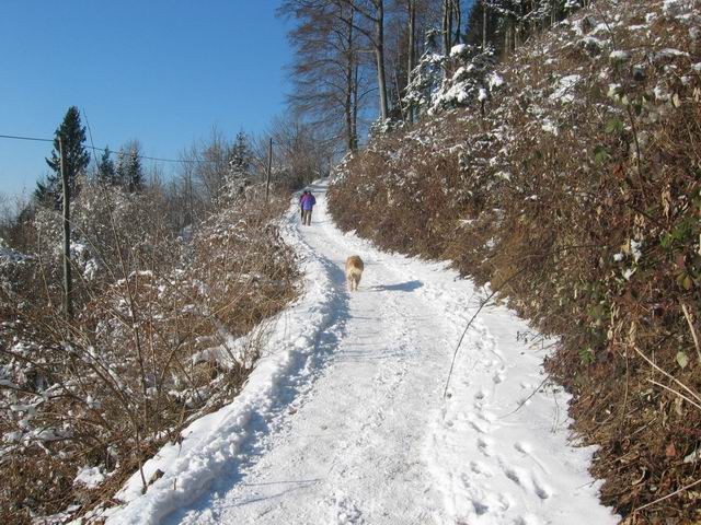 Sv. Jošt, 6.2.2005 - foto