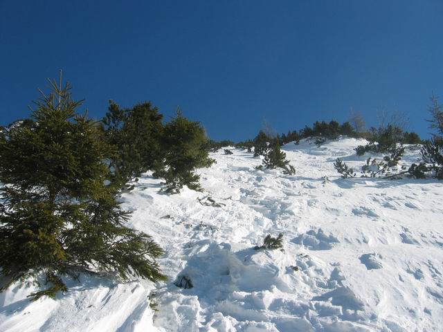 Stol, 30.1.2005 - foto povečava