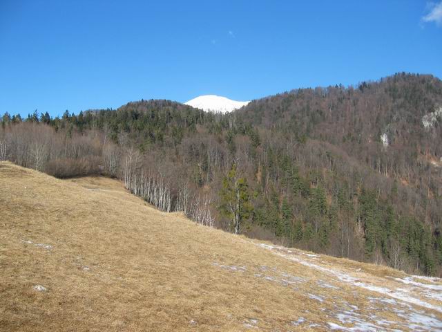 Smokuški vrh (Vrh Peči), 22.1.2005 - foto