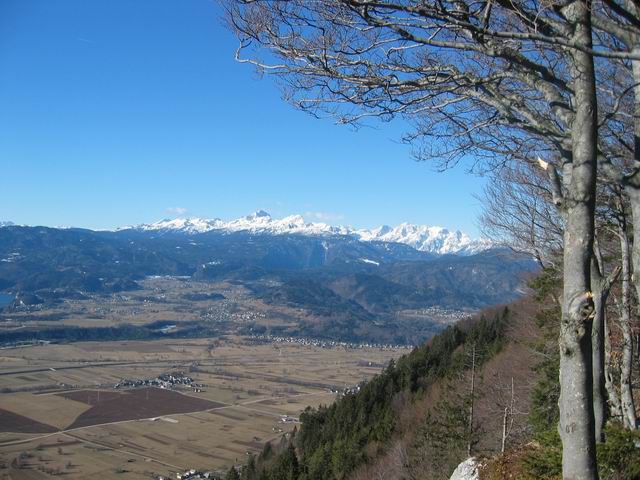 Smokuški vrh (Vrh Peči), 22.1.2005 - foto povečava